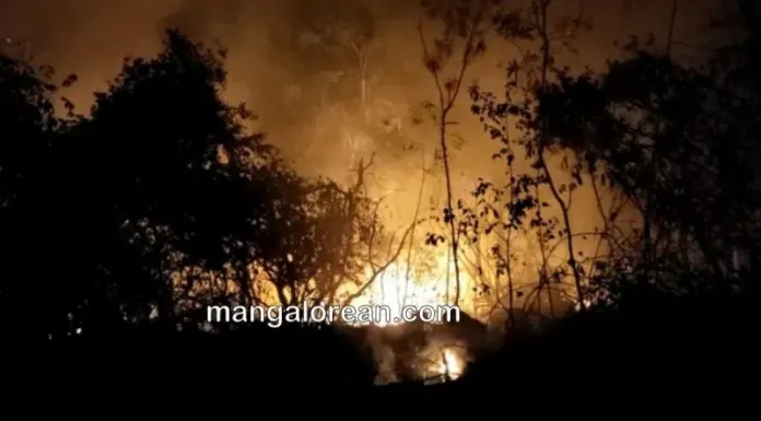 EV Fire Incidents