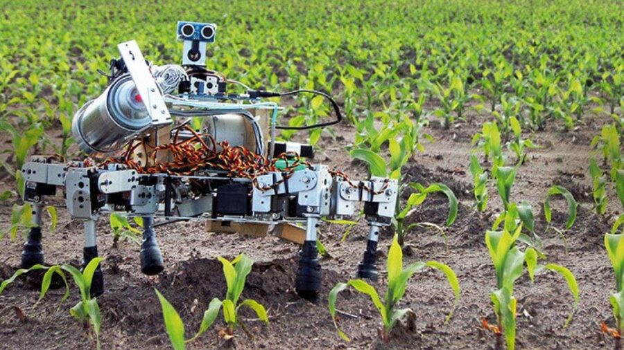 AI and Agriculture