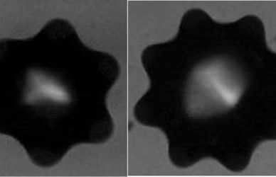 Examining the propagation of ultrasonic waves