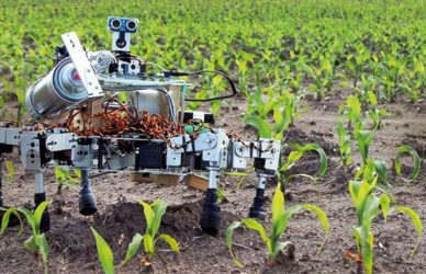 AI and Agriculture